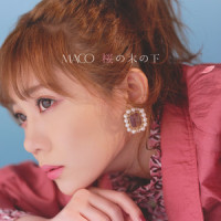 桜の木の下_MACO