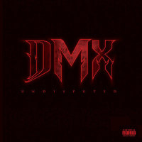 Have You Eva_DMX