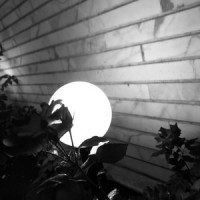 No Hope_Jose Leyva,Joji