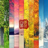 四季_洛天依