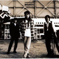 寂しさは秋の色~Live Acoustic Version~_WANDS
