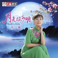 月是故乡明_王二妮
