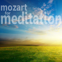 String Quartet No. 15 in D Minor, K421: I. Allegro_Wolfgang Amadeus Mozart,The Griller Quartet