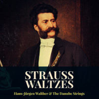 Tales from the Vienna Woods, Op. 325 (施特劳斯:维也纳森林的故事,作品325)_Hans-Jurgen Walther,The Danube Strings,Johann Strauss Jr.