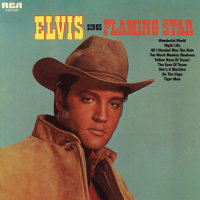 Wonderful World_Elvis Presley