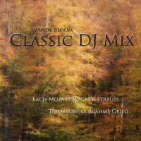 Air on a G String_Various Artists,Strauss,Wolfgang Amadeus Mozart,Wagner,Johannes Brahms,Johann Sebastian Bach,Classics,Strauß,Relaxation,Vivaldi,Piano,Orchestra