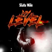My Level_Shatta Wale