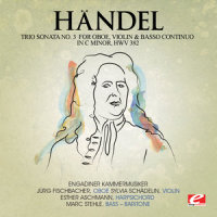 Trio Sonata No. 3 for Oboe, Violin & Basso Continuo in C Minor, HWV 382: II. Vivace_Engadiner Kammermusiker,Jürg Fischbacher,Sylvia Schädelin,Esther Aschmann