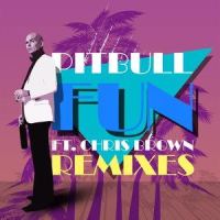 Fun_Pitbull,Chris Brown