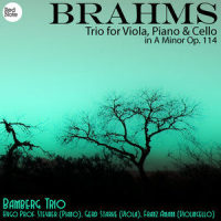 Trio for Viola, Piano & Cello in A Minor, Op.114: IV. Allegro_Hugo Prof. Steurer,Gerd Starke,Franz Amann