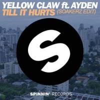 Till it Hurts (Soakerz Festival Big Room Edit)_Soakerz,Yellow Claw,Ayden