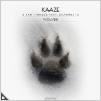 Wolves_Kaaze,Sam Tinnesz,Silverberg