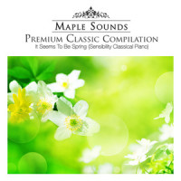 Bach: Minuet In F Major BWV Anh.113_Johann Sebastian Bach