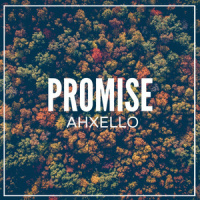 Promise_Ahxello