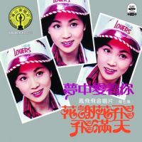 我乘风而来_凤飞飞