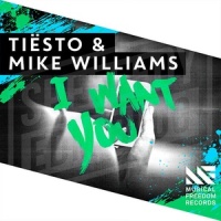 I Want You_Tiësto,Mike Williams