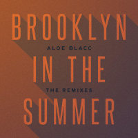 Brooklyn In The Summer_Aloe Blacc