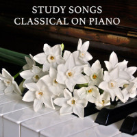 Bach's Variatio 13 a 2 Clav_Piano Pianissimo,Classical Study Music,Relaxing Piano Music Universe