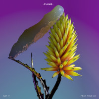 Say It_Flume,Tove Lo