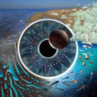 Run Like Hell_Pink Floyd