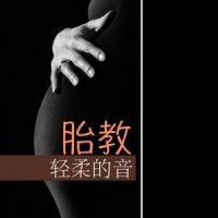 胎教轻柔的音乐_胎教音乐
