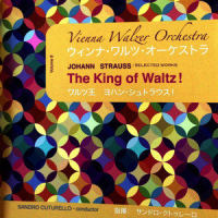An der schönen blauen Donau (Blue Danube Waltz), Op. 314_Judith Halasz,Johann Strauss Jr.