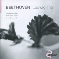 Trio for piano, violin and cello in B-Flat Major, Op. 97 - "Archduke": II. Scherzo. Allegro_Ludwig Trio,Ludwig van Beethoven