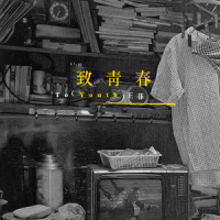 致青春_王菲