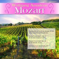 Serenade No.13 in G Major, K.525 "Eine kleine Nachtmusik": III. Minuet - Allegretto_Wolfgang Amadeus Mozart,Various Artists