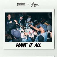 Want It All_Caleborate,G-Eazy