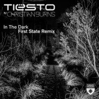 In the Dark_Tiësto,Christian Burns