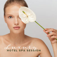 Healing Vibes_Relaxing Spa Music,Spa,Relaxation and Dreams