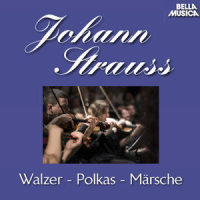 Polka Francaise für Orchester: Gruss an Wien_Wiener Kammerorchester,Paul Angerer