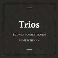 Piano Trio in B-Flat Major, WoO 39: Allegretto_l'Orchestra Filarmonica di Moss Weisman