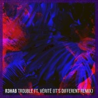 Trouble_R3HAB,VÉRITÉ