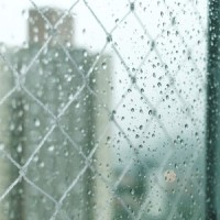 Soft Rain & Gentle Thunder_Rain Sound Studio,Spa,Sounds Of Nature : Thunderstorm