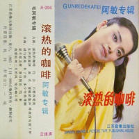 昨夜没有留下梦_毛阿敏