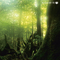 森と水の幻想曲_神山純一