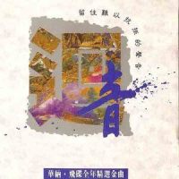今年夏天_林志颖