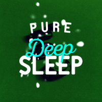 Conch Shell_Deep Sleep