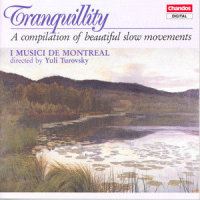 Piano Concerto No. 2 in F Major, Op. 102: Piano Concerto No. 2 in F Major, Op. 102: II. Andante_Maxim Shostakovich,Dmitri Shostakovich,I Musici De Montreal