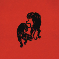 Colors_Black Pumas