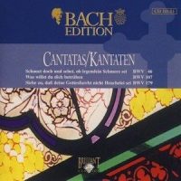 Johann Sebastian Bach: Schauet doch und sehet ob irgendein Schmerz sei, BWV 46, for the 10th Sunday_Johann Sebastian Bach