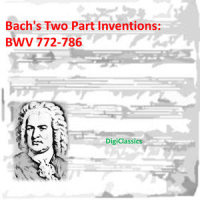 Invention No. 14 in B major: BWV 785_My Little Remix,Johann Sebastian Bach