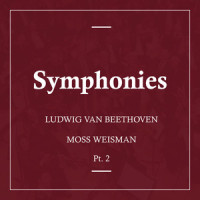 Symphony No.6 in F Major, Op. 68: Allegro_l'Orchestra Filarmonica di Moss Weisman