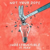 Indestructible(feat. MAX)_Not Your D**e,MAX