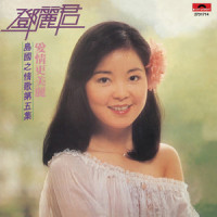 使爱情更美丽_邓丽君
