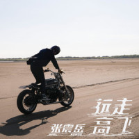 贪心_张震岳