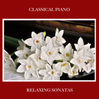 Bach's Variatio 18 a 1 Clav Canone all Sexta_Piano Pianissimo,Classical Study Music,Relaxing Piano Music Universe