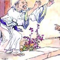 范进中举_卦者灵风